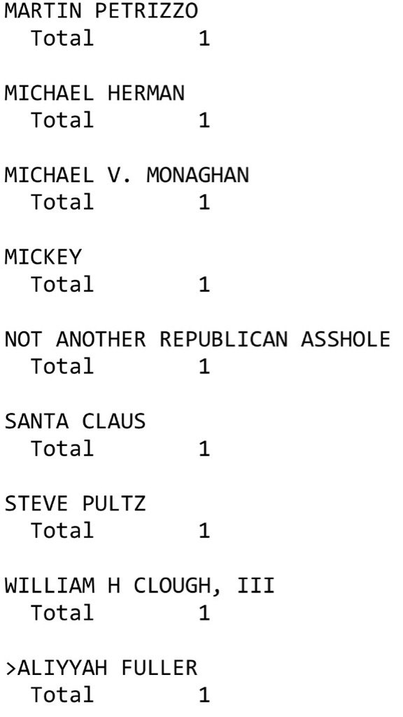 lopertyfescue's tweet image. Who says them liberals don't have a sense of humor. 🇺🇸 #WriteIns