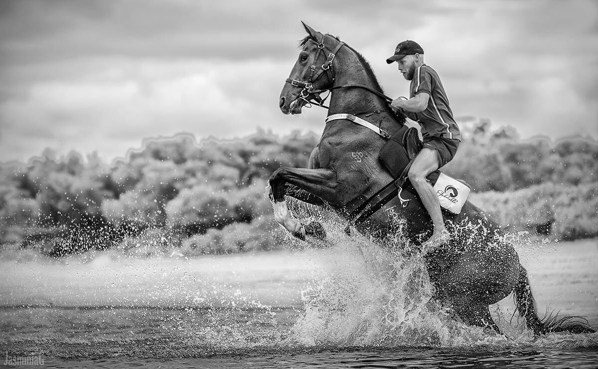 Gabrielle_27386's tweet photo. My flatmate is an outstanding photographer. She took this pic of my horse Pirellone yesterday at Botany Bay. Isn't she talented?? https://t.co/w8RtJuJ1BI