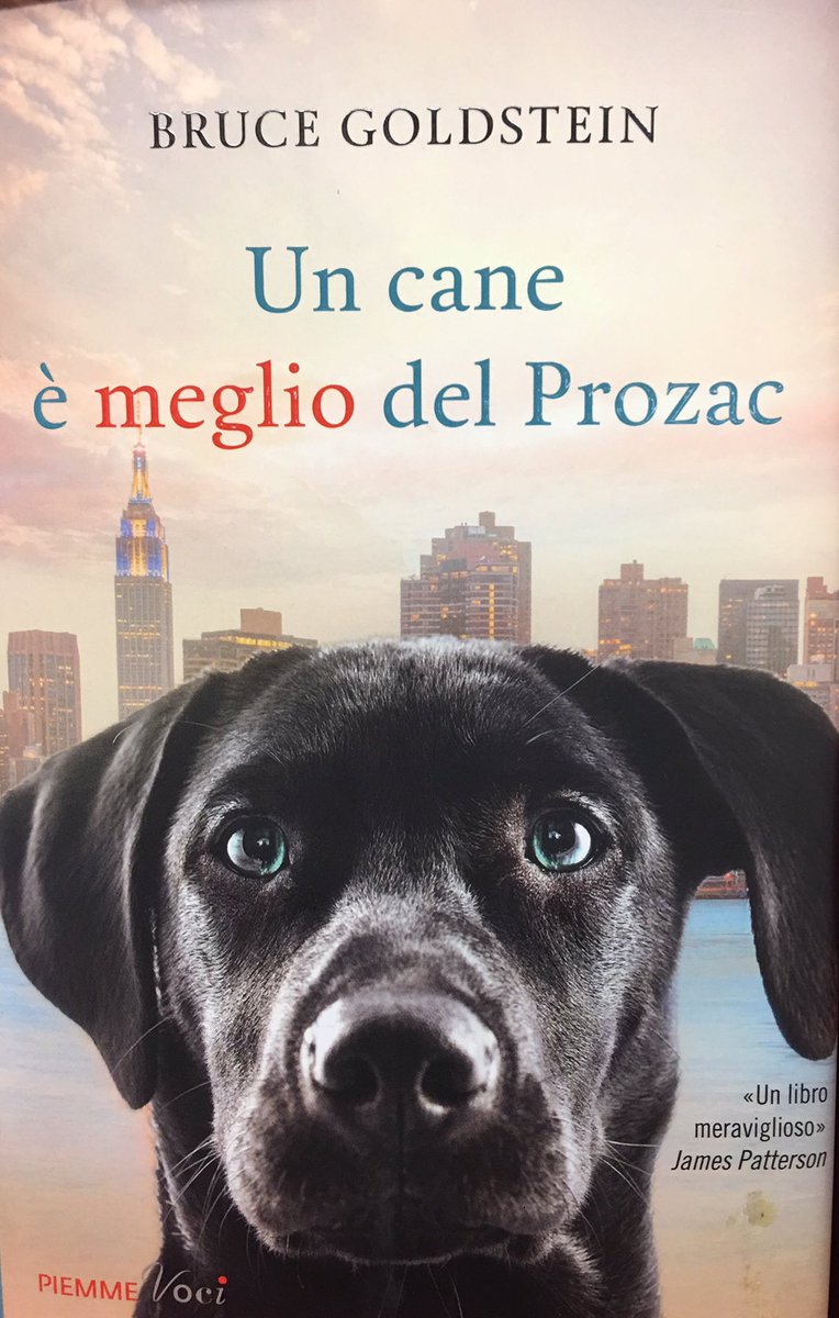 Bruce Goldstein. Piemme. Un cane è meglio del Prozac. "Mi hai salvato la vita. Mi hai insegnato ad amare di nuovo"