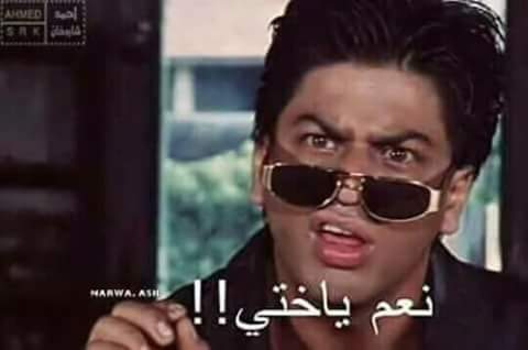 Mostafa42071933's tweet photo. @000SOOFE000 هههههههههه https://t.co/V0yeIg6yGe