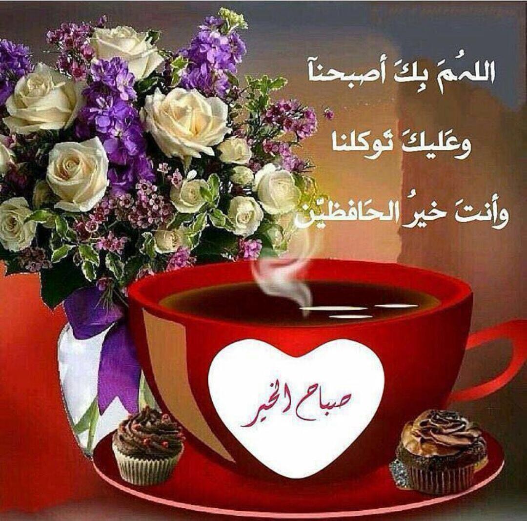 Dr7loo tweet picture