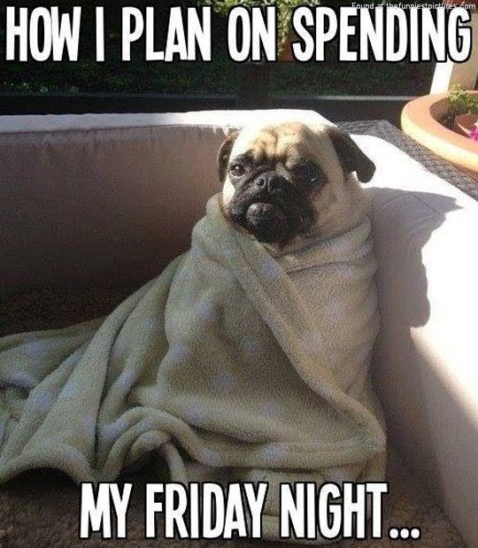 MyQuickSearch's tweet image. Correction: All friday nights until the end of winter?

Looking for winterwear?
buff.ly/2ifdJEQ