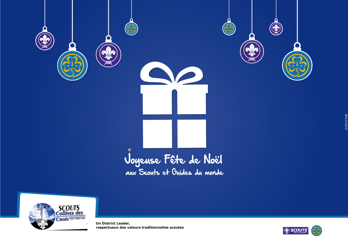 Scouts District Requin Baleine (@requin_baleine) on Twitter photo 