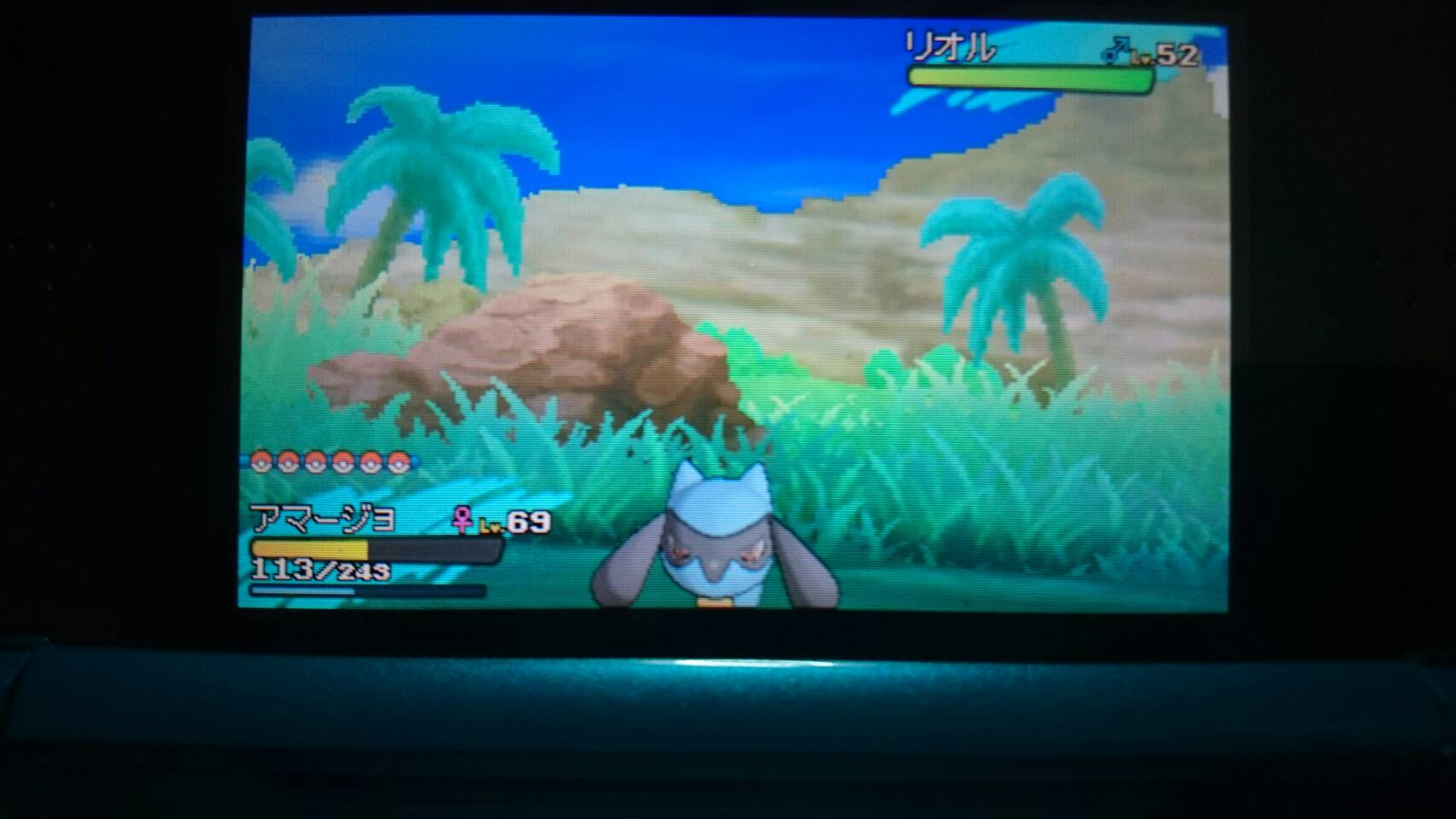 ちゃちゃ ポケモンsm Pokemon Chacha Twitter