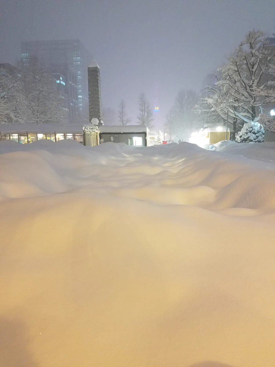 札幌大通公園のイルミネーション完全終了のお知らせｗｗｗ