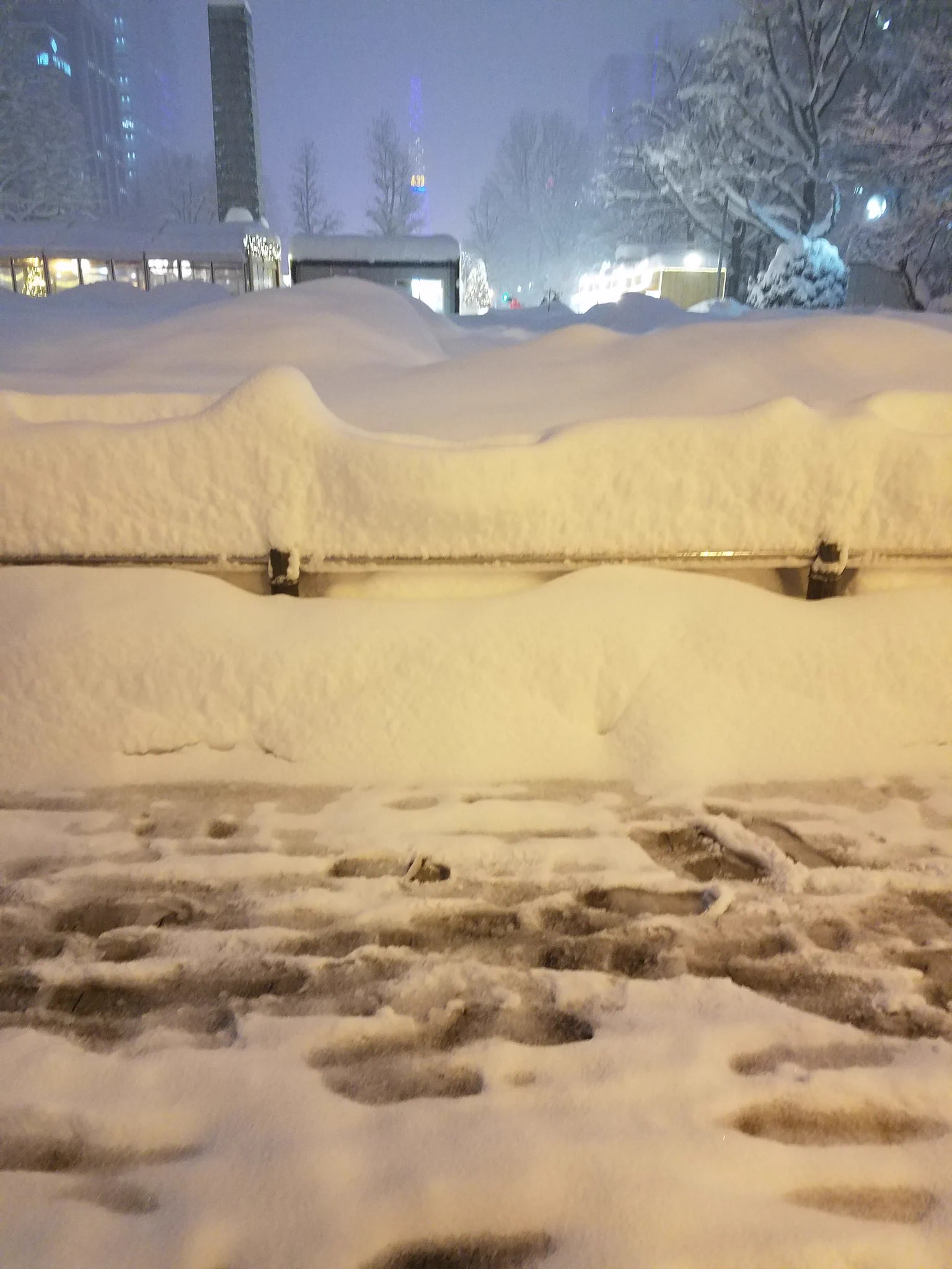 札幌大通公園のイルミネーション完全終了のお知らせｗｗｗ