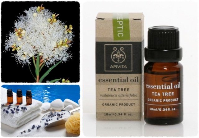 ApivitaSA's tweet photo. Create the perfect atmosphere w/ #Apivita #EssentialOlis, to welcome your beloved ones! https://t.co/EzRrTEb6qz https://t.co/KgLXdZtwJq