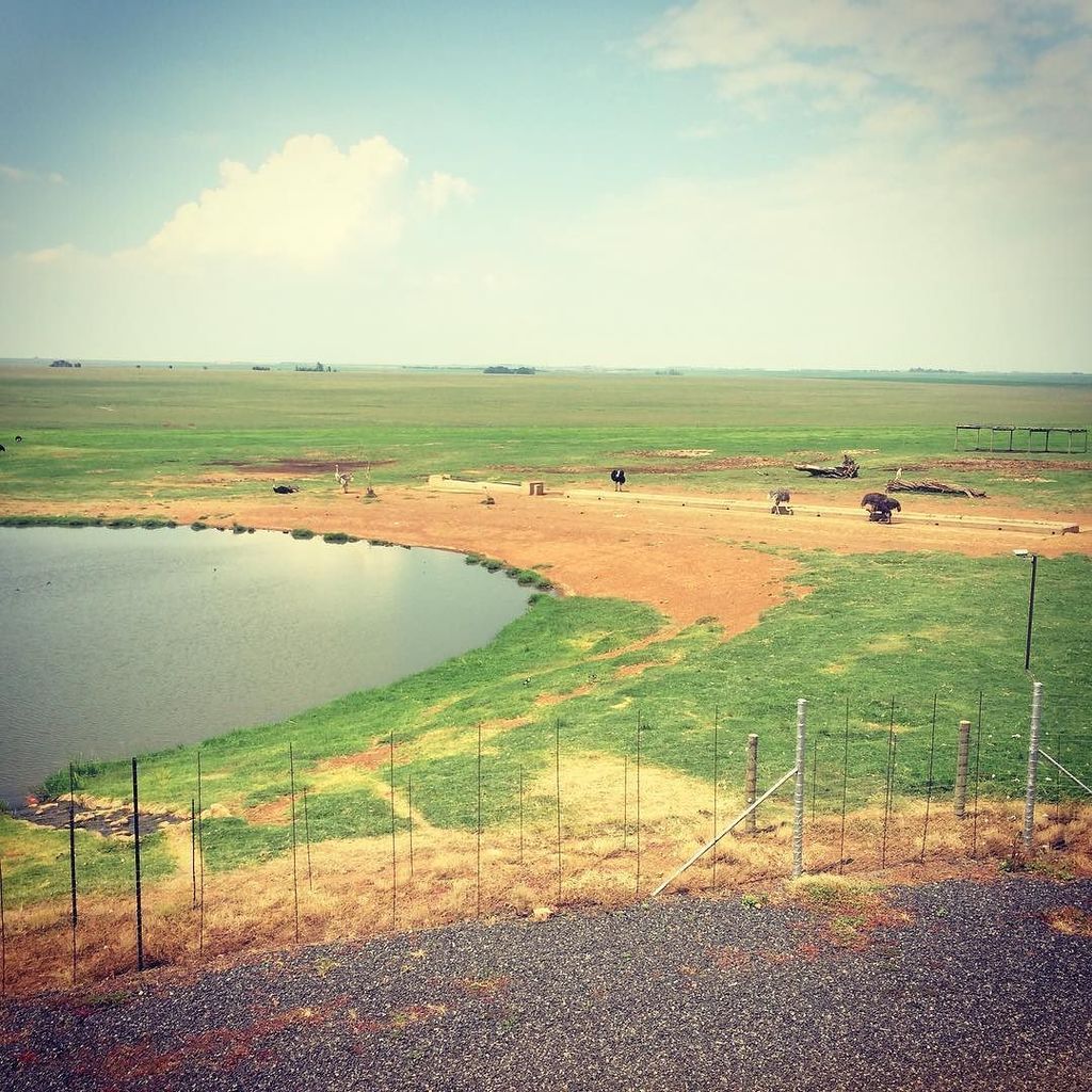 WorriedWanderer's tweet photo. On the road to Phelwana Game Lodge! https://t.co/PAoIjv7IUG https://t.co/6kdeHNRSyA