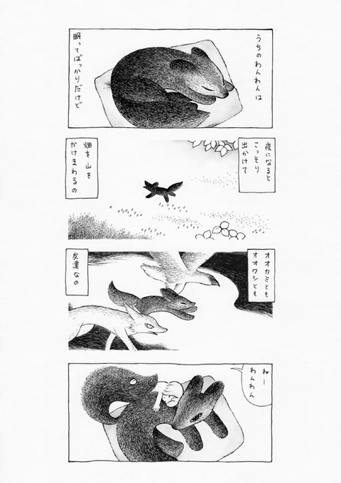 うちのわんわん 