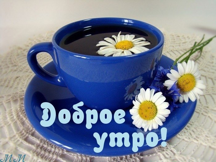 Drive PRO tweet media