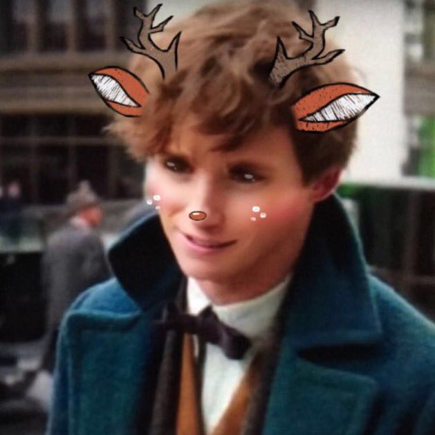 SAINTTPOTTER's tweet photo. Fantastic Beasts christmas icons (rt if you use!) 🎄✨ #FantasticBeastsAndWhereToFindThem #FantaticBeasts https://t.co/4UGsca8ik1