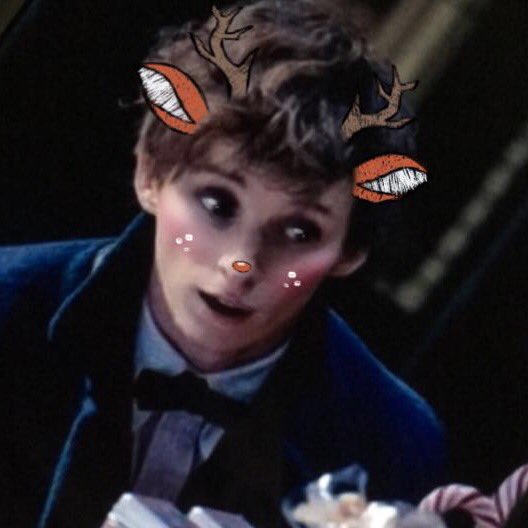 SAINTTPOTTER's tweet photo. Fantastic Beasts christmas icons (rt if you use!) 🎄✨ #FantasticBeastsAndWhereToFindThem #FantaticBeasts https://t.co/4UGsca8ik1
