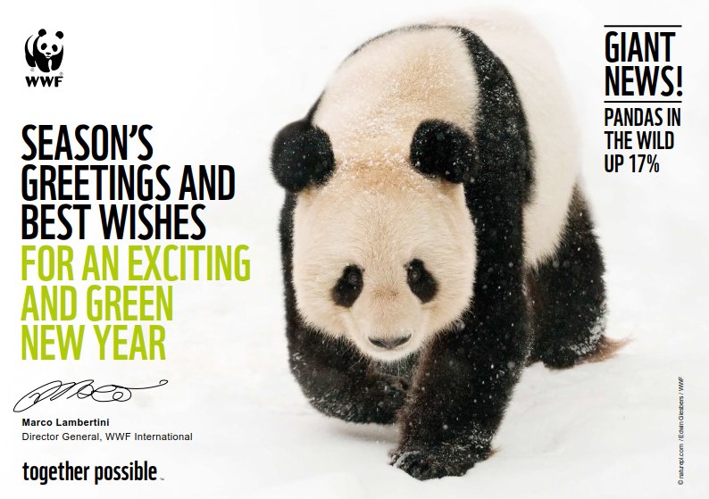WWF's tweet image. Season's Greetings and best wishes for an exciting and green New Year! Thank you so much for your support #PandaHugs 🐼 #togetherpossible