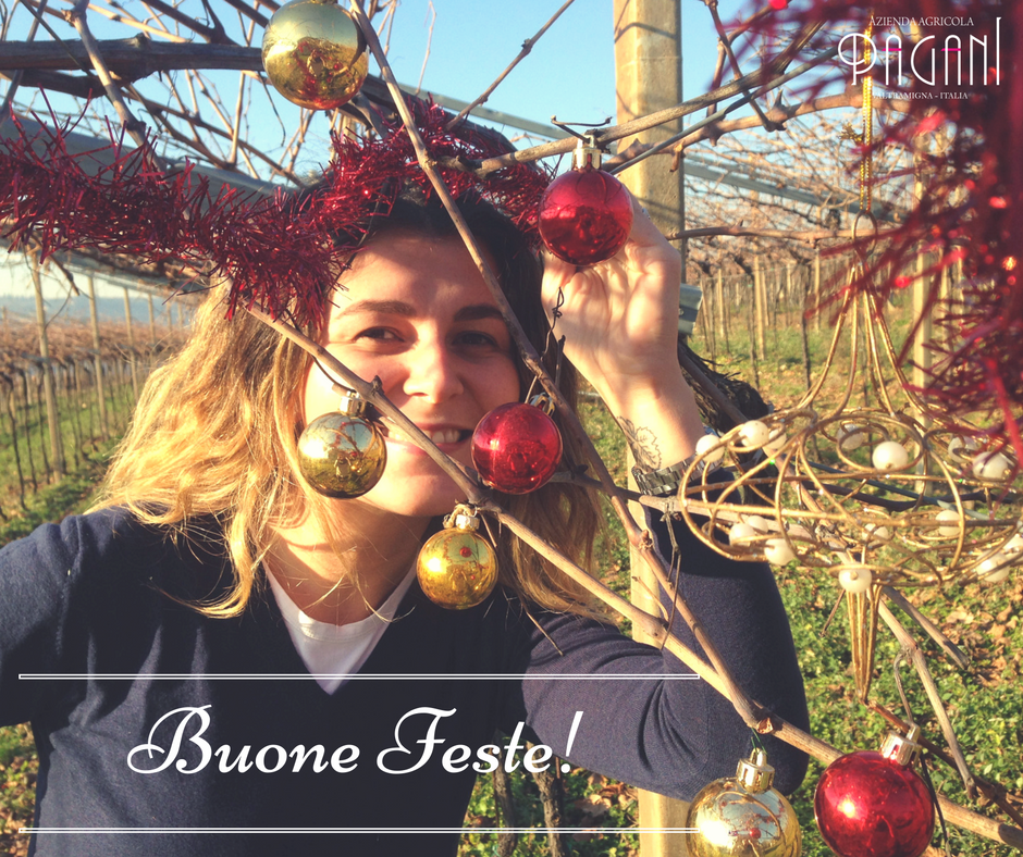 ViniPagani's tweet photo. #merrychristmas and #HAPPYNEWYEAR ! #wine #winelover #winelife #vineyards #christmaths16 #HappyHolidays #cheers #vinipagani https://t.co/9xB9tBVFI7