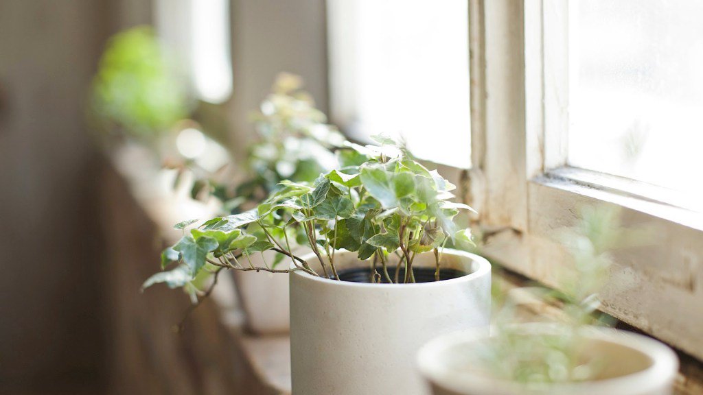 treatmentherbs's tweet photo. How to Feng Shui Your Home | Interior Design - https://t.co/GYuM3qRvZg https://t.co/wCvUfMuVjC