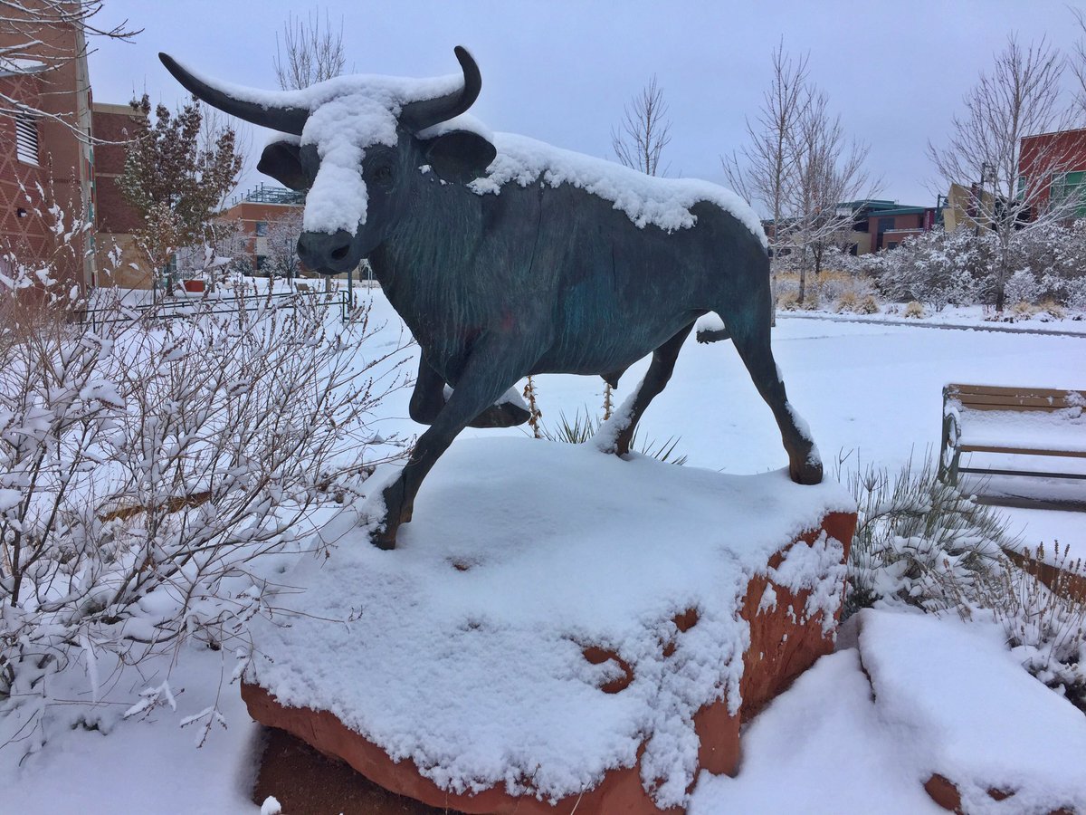 ColoradoMesaU's tweet photo. It's beginning to look a lot like winter around here ❄️ 

#CMesaU https://t.co/50MolIEGBQ