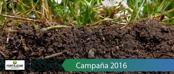 FertilizarAC's tweet image. #campo2016 La biología desuelos se presenta como 1 gran oportunidad p mejorar la #sustentabilidad @RevistaHorizonteA
horizonteadigital.com/el-valor-de-la…