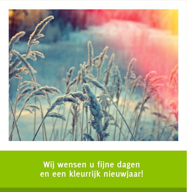 Van maandag 26 december t/m 6 januari zijn wij wegens kerstvakantie gesloten.