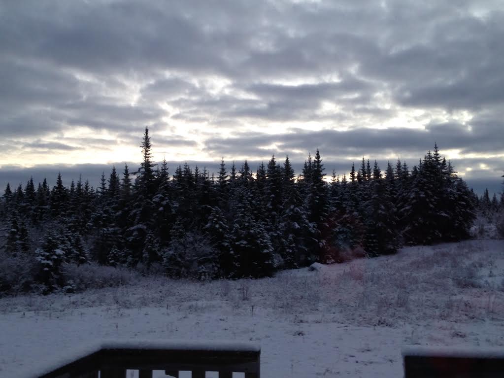 JeniferDempsey's tweet photo. When you wake up to postcard-pretty snow 2 days before Christmas! #whitechristmas #HappyHolidays #merrychristmas https://t.co/fwJNA8znxD