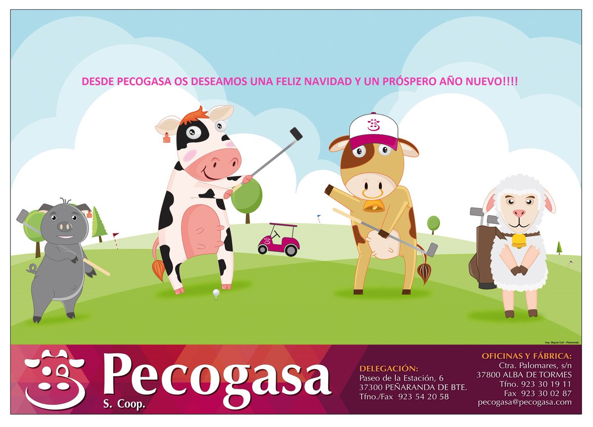 PECOGASA, S. COOP. tweet media