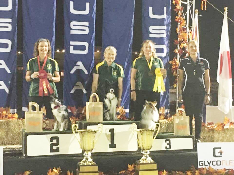 NIrawpetfoods's tweet photo. Congratulations to our sponsored doggie Vegas and owner Dawn for WINNING the USA National Finals in USA #USDAA #DOGAGILITY #rawdogfood ❤🐶 https://t.co/hm84Lysbck
