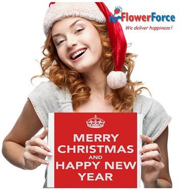 FlowerForcebv's tweet photo. Merry X-mas ! 🎄🍾🎄🍾 https://t.co/4PnNUgYLNB