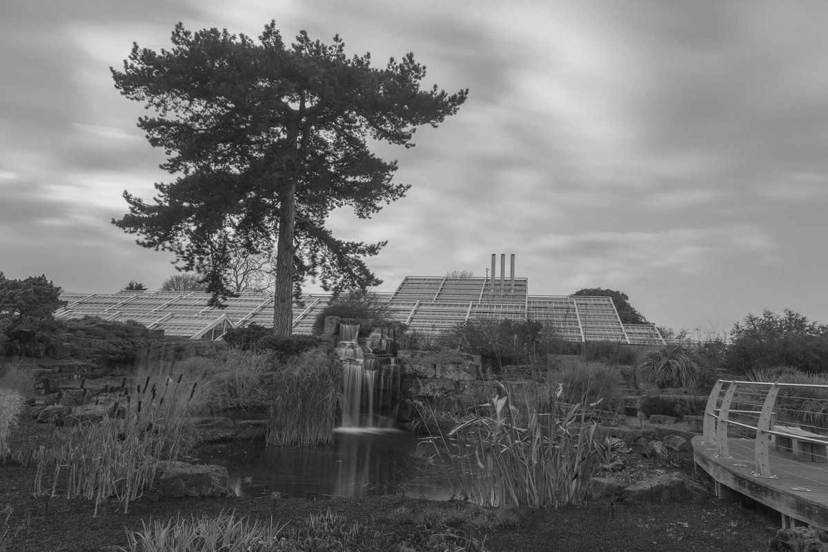 theparallaxview's tweet image. Long exposure with ND filter at Kew Gardens