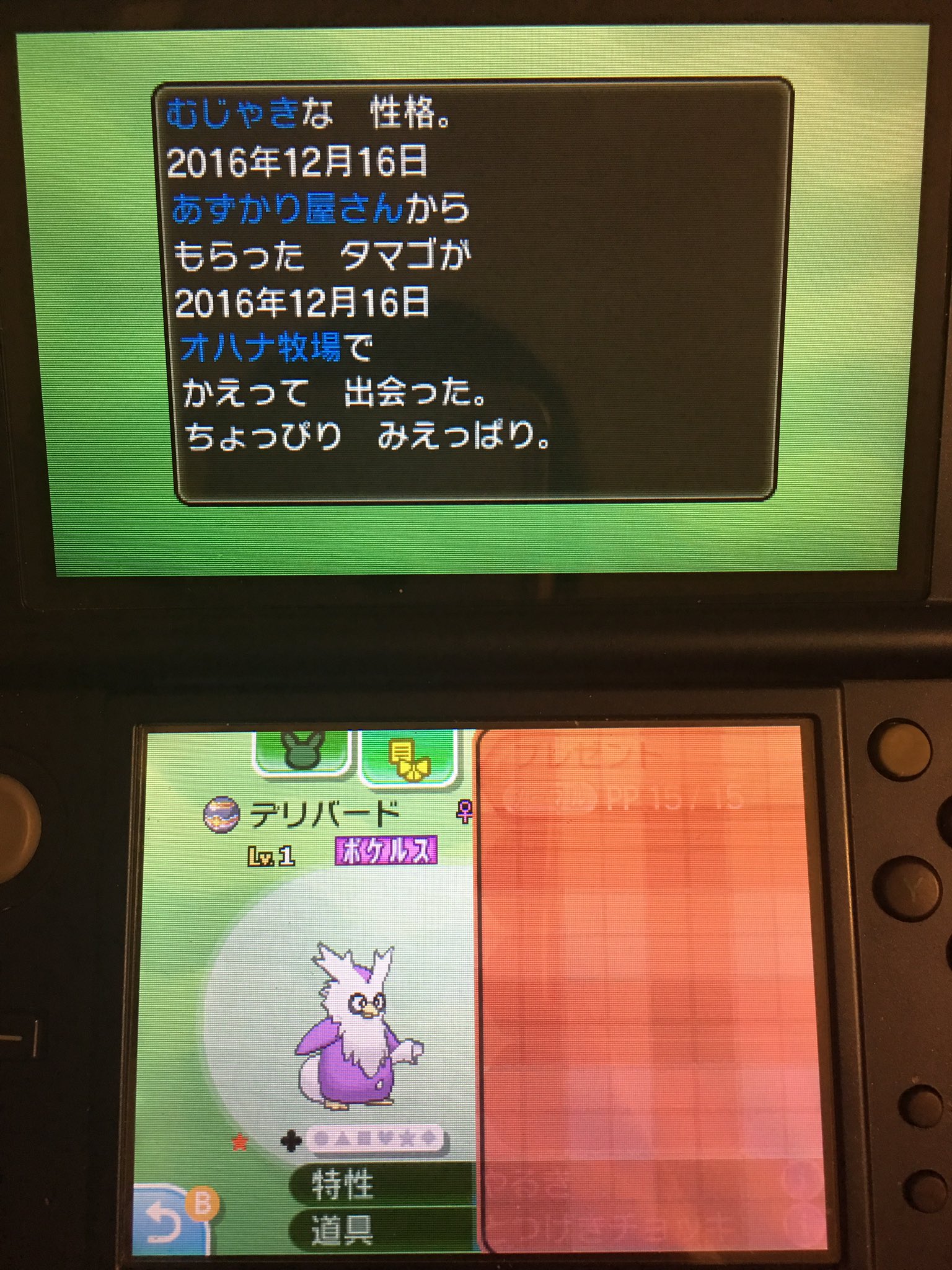 てらりあ ポケモンsm Candycandy Pk Twitter