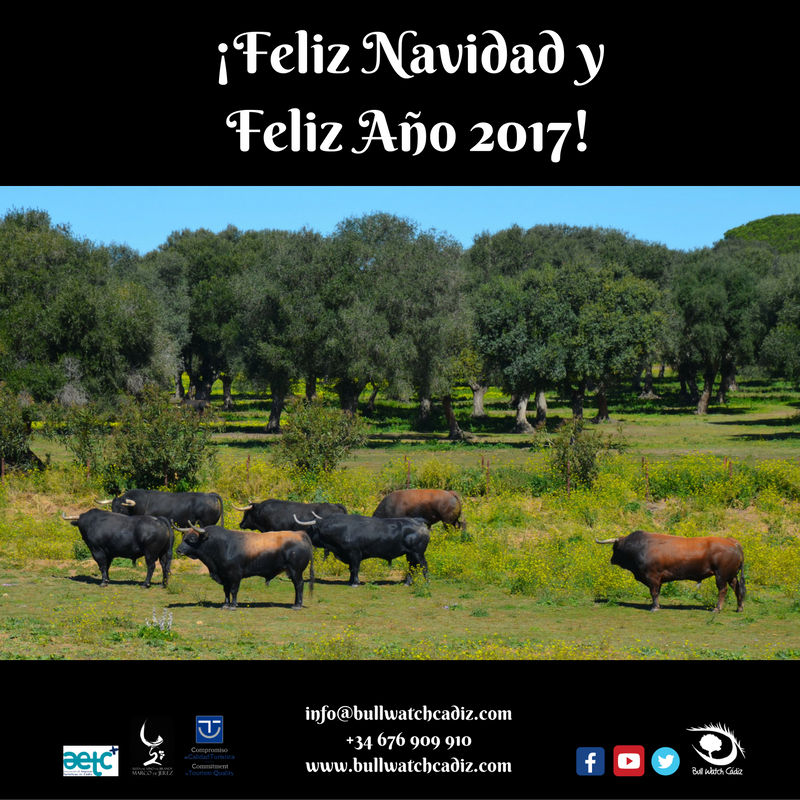 BullWatchCadiz's tweet photo. https://t.co/JBG4IvqRxO