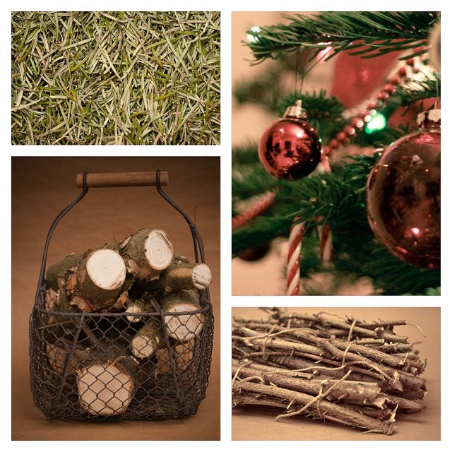 Compost_411's tweet image. Great ideas for getting rid of your Christmas tree after the big day. #compost #ChristmasTree #BrownCompost bit.ly/2hjBtaA