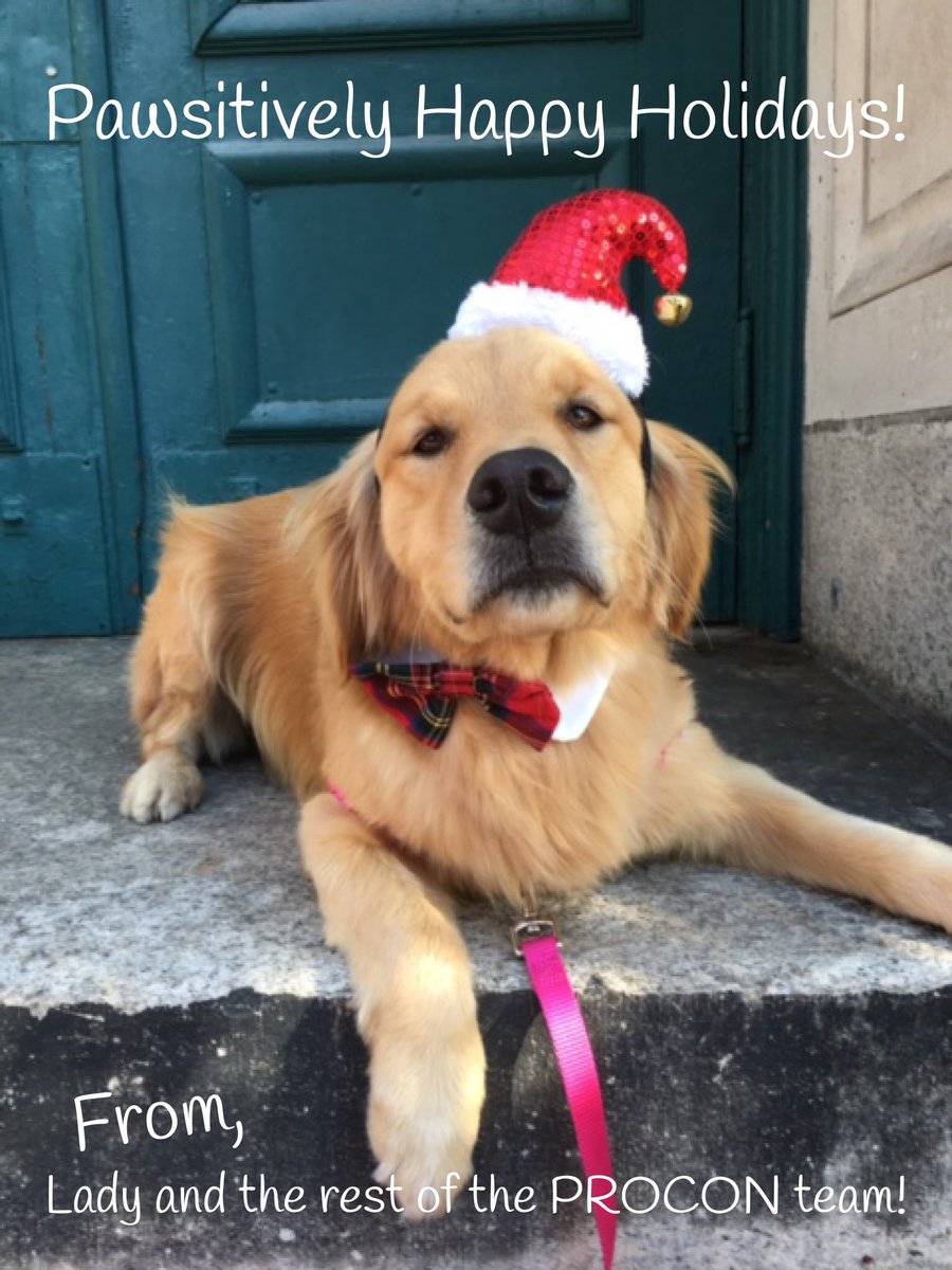 PROCONDsgnBuild's tweet image. Happy Holidays!