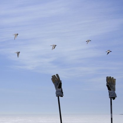 SMHI's tweet image. Vi söker en vetenskaplig #programmerare med intresse för #luftmiljö. Är det du? #nyttjobb #jobb #Linux #Unix 👋 bit.ly/2ijHF2I