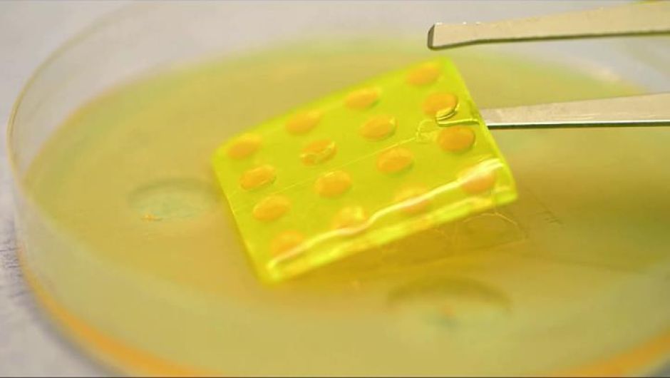 FUTUREMAG tweet media