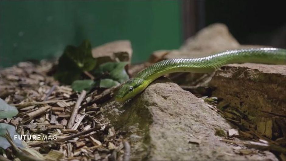 💊 [BEST OF] 💊
Retrouvez les grandes innovations de la #médecine en vidéo ⬇️
sites.arte.tv/futuremag/fr/b…