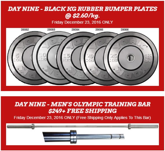 York Barbell tweet media