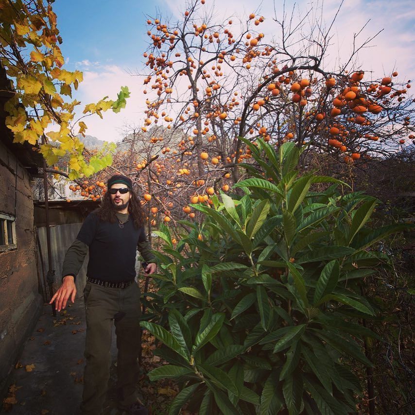 JosephSimcox's tweet photo. Patty in Meghri, Armenia among the "thickets" of domestic persimmons! Stunning and amazing town of long-standing or… https://t.co/NMpvyKY2jw