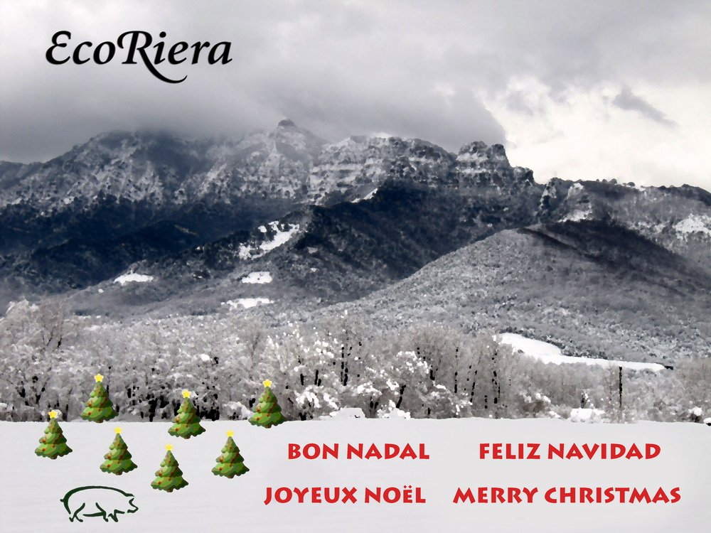 ecoriera's tweet photo. Bon Nadal! / ¡Feliz Navidad! https://t.co/F6J6hrGRMi
