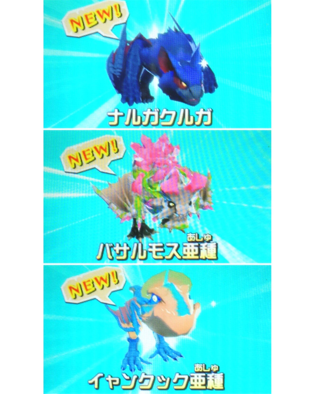 Uzivatel おくつようこ Na Twitteru モンハンたまご孵化祭りなう テレビでは検索ちゃんのネタ祭りなう モンスターハンターストーリーズ ナルガクルガ バサルモス亜種 イャンクック亜種 Uzivatel おくつようこ Na Twitteru モンハンたまご孵化祭りなう テレビでは検索ちゃんのネタ祭りなう モンスターハンターストーリーズ ナルガクルガ バサルモス亜種 イャンクック亜種