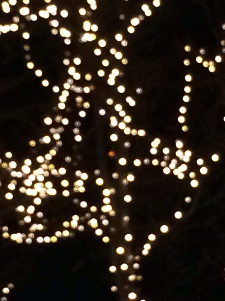 ピンクの電球 Twitter Search Twitter