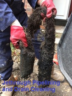 jethrough's tweet image. #Jethrough recommend #Pipelining to prevent #Tree #Roots penetration - Contact us on Freephone: 0800 046 7868