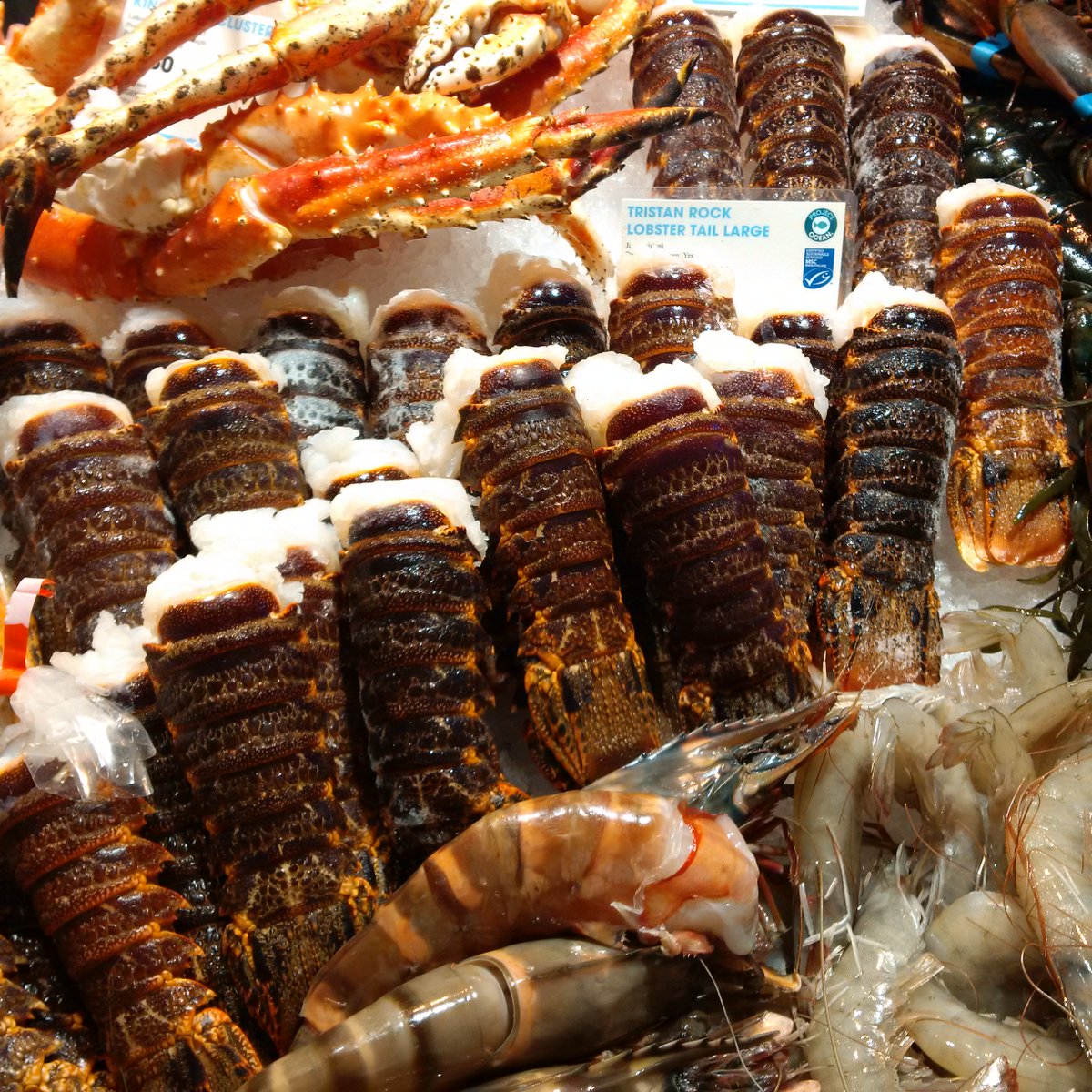 Finest coldwater rock lobster tails in the world from Tristan da Cunha <a href="/TristanLobster/">Tristan Lobster</a> <a href="/SouthbankFish/">Southbank Fresh Fish</a> <a href="/MSCintheUK/">MSC in the UK</a>