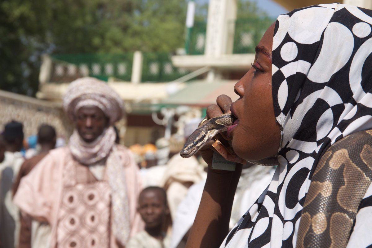 daily_trust's tweet photo. Girls eat python at Sanusi's daughter's wedding (PHOTOS) https://t.co/ANWpNbYXWs https://t.co/ducy4TMeMk