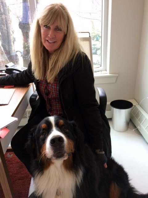 RedDoorRealty's tweet photo. #RDRPam & #RDRBrewer, working hard at the office.
Happy holidays from everyone at Red Door Realty!
#DogsofRedDoor https://t.co/OXCnweqbki