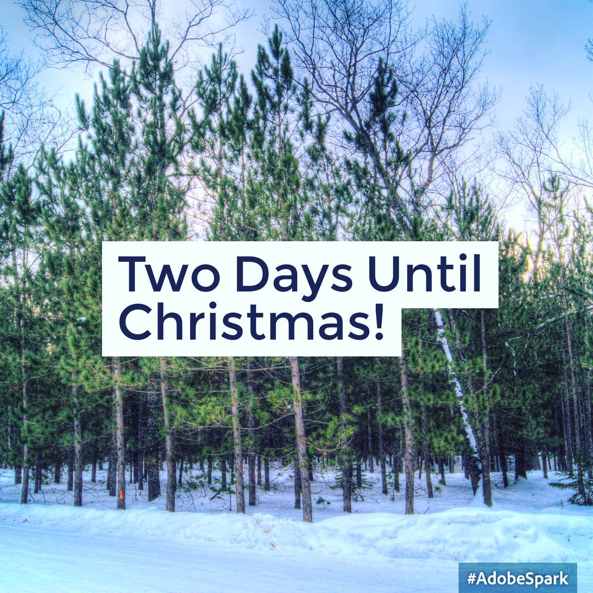 ccard3dev's tweet image. 