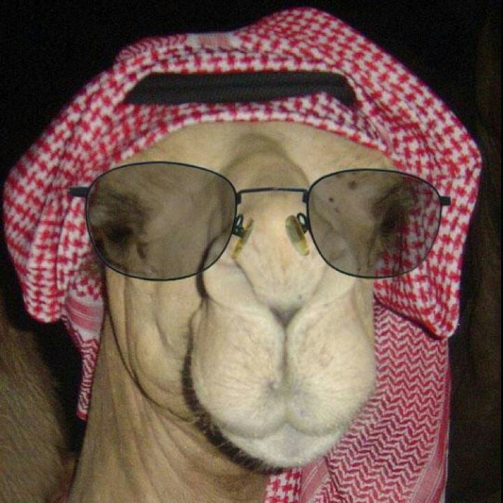 hdv_30's tweet photo. Come join me, or you'll be left behind #BIGOLIVE. https://t.co/qO9pMOiiCR https://t.co/shmcgs3Dxu
