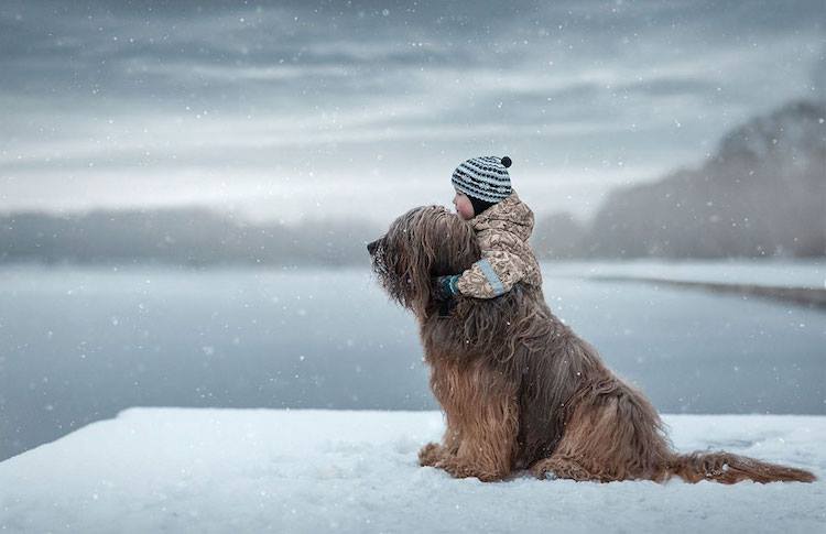 SoMuchAww's tweet photo. A Boy and His Protector https://t.co/QKe8Hl3Saf