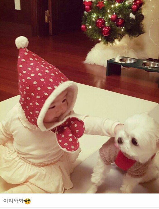 misoeunmi's tweet photo. 메리 크리스마스~~ ☃🌲🐒 https://t.co/7QpFdI9Sdz