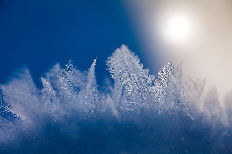 ramblingsloa's tweet image. Miracles come in moments.
Be ready and willing.

Wayne Dyer
Pic V Favre