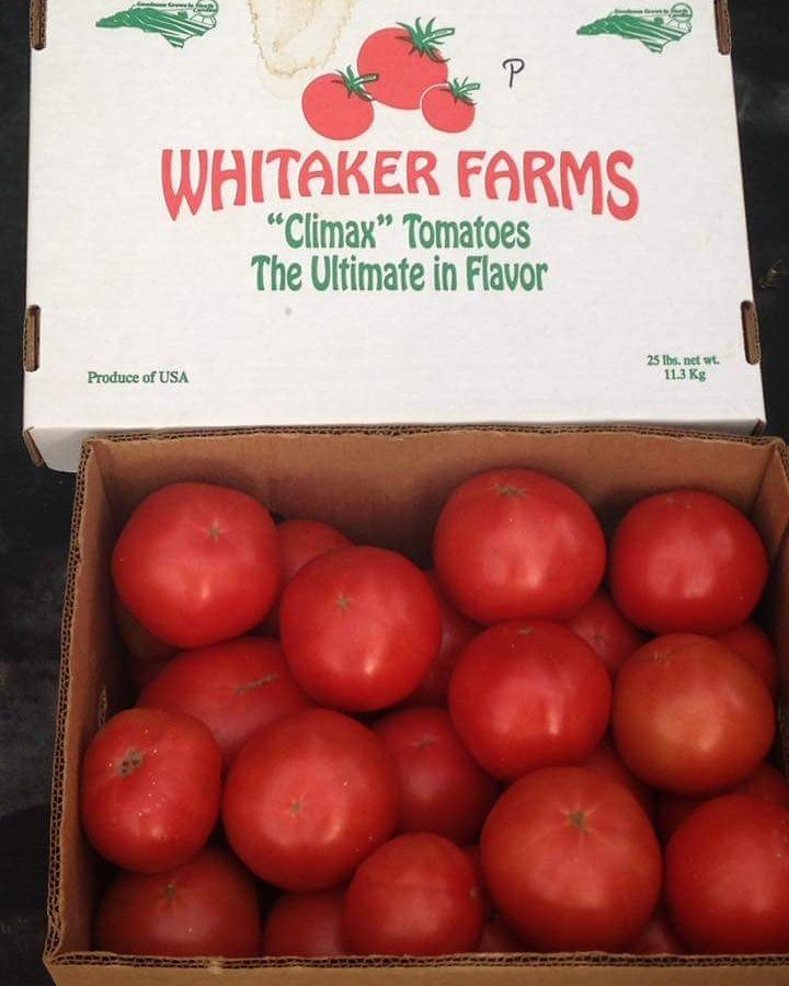 Whitakerfarms's tweet photo. Don't forget to pick up some fresh tomatoes to go with Christmas dinner! https://t.co/VtCVcBnoaQ