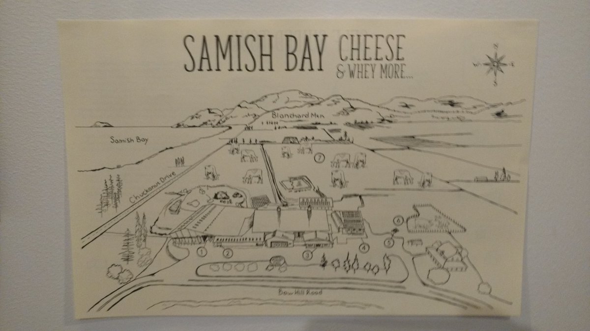 samishbaycheese's tweet photo. Charley the Cheese Dog is now doing tours at Samish Bay daily. https://t.co/oqogMPEoGZ